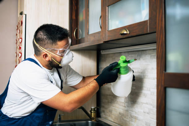 Best Pest Removal Services  in Chevy Chase, MD