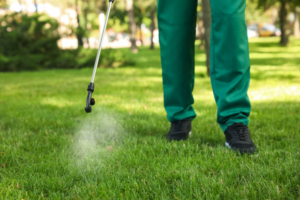 Best Emergency Pest Control  in Chevy Chase, MD