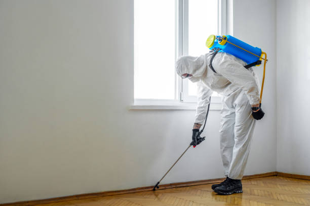 Wildlife Control Services in Chevy Chase, MD