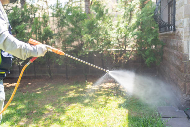 Best Residential Pest Control  in Chevy Chase, MD