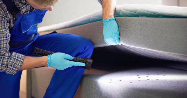 Best Commercial Pest Control Services  in Chevy Chase, MD
