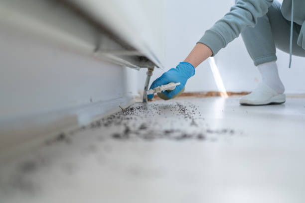 Pest Control for Restaurants in Chevy Chase, MD