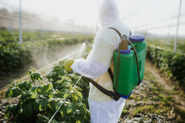 Best Local Pest Control Services  in Chevy Chase, MD
